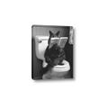 Picture of Kitty Cat Throne Room _GroupedProduct_Rectangle_Portrait_Canvas_