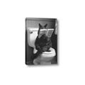 Picture of Kitty Cat Throne Room _GroupedProduct_Rectangle_Portrait_Canvas_