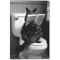 Picture of Kitty Cat Throne Room _GroupedProduct_Rectangle_Portrait_Canvas_