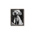Picture of Spa Day Pooch _GroupedProduct_Rectangle_Portrait_Canvas_Framed_