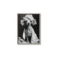 Picture of Spa Day Pooch _GroupedProduct_Rectangle_Portrait_Canvas_Framed_