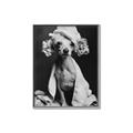 Picture of Spa Day Pooch _GroupedProduct_Rectangle_Portrait_Canvas_Framed_