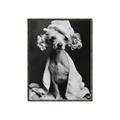 Picture of Spa Day Pooch _GroupedProduct_Rectangle_Portrait_Canvas_Framed_