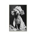 Picture of Spa Day Pooch _GroupedProduct_Rectangle_Portrait_Canvas_Framed_