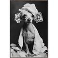 Picture of Spa Day Pooch _GroupedProduct_Rectangle_Portrait_Canvas_Framed_