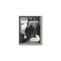 Picture of Kitty Cat Throne Room _GroupedProduct_Rectangle_Portrait_Canvas_Framed_
