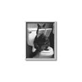 Picture of Kitty Cat Throne Room _GroupedProduct_Rectangle_Portrait_Canvas_Framed_