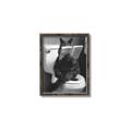 Picture of Kitty Cat Throne Room _GroupedProduct_Rectangle_Portrait_Canvas_Framed_
