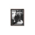 Picture of Kitty Cat Throne Room _GroupedProduct_Rectangle_Portrait_Canvas_Framed_