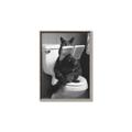 Picture of Kitty Cat Throne Room _GroupedProduct_Rectangle_Portrait_Canvas_Framed_