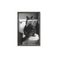 Picture of Kitty Cat Throne Room _GroupedProduct_Rectangle_Portrait_Canvas_Framed_