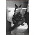 Picture of Kitty Cat Throne Room _GroupedProduct_Rectangle_Portrait_Canvas_Framed_