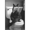 Picture of Kitty Cat Throne Room _GroupedProduct_Rectangle_Portrait_Canvas_Framed_