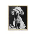 Picture of Spa Day Pooch _GroupedProduct_Rectangle_Portrait_Framed_Matted_