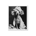 Picture of Spa Day Pooch _GroupedProduct_Rectangle_Portrait_Framed_Matted_