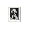 Picture of Spa Day Pooch _GroupedProduct_Rectangle_Portrait_Framed_Matted_