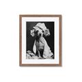 Picture of Spa Day Pooch _GroupedProduct_Rectangle_Portrait_Framed_Matted_