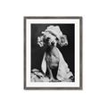 Picture of Spa Day Pooch _GroupedProduct_Rectangle_Portrait_Framed_Matted_