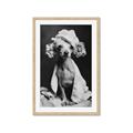 Picture of Spa Day Pooch _GroupedProduct_Rectangle_Portrait_Framed_Matted_