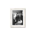 Picture of Kitty Cat Throne Room _GroupedProduct_Rectangle_Portrait_Framed_Matted_