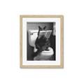Picture of Kitty Cat Throne Room _GroupedProduct_Rectangle_Portrait_Framed_Matted_