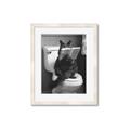 Picture of Kitty Cat Throne Room _GroupedProduct_Rectangle_Portrait_Framed_Matted_