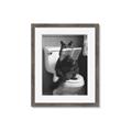 Picture of Kitty Cat Throne Room _GroupedProduct_Rectangle_Portrait_Framed_Matted_