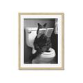 Picture of Kitty Cat Throne Room _GroupedProduct_Rectangle_Portrait_Framed_Matted_