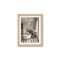 Picture of Luxuary Elephant _GroupedProduct_Rectangle_Portrait_Framed_Matted_
