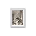 Picture of Luxuary Elephant _GroupedProduct_Rectangle_Portrait_Framed_Matted_