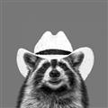 Picture of Wyatt The Cowboy Raccoon _GroupedProduct_Square_Unframed_Print_Only_