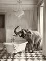 Picture of Luxuary Elephant _GroupedProduct_Rectangle_Portrait_Unframed_Print_Only_