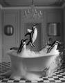 Picture of Penguin Party _GroupedProduct_Rectangle_Portrait_Unframed_Print_Only_