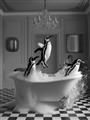 Picture of Penguin Party _GroupedProduct_Rectangle_Portrait_Unframed_Print_Only_
