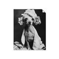 Picture of Spa Day Pooch _GroupedProduct_Rectangle_Portrait_Unframed_Print_Only_