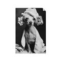 Picture of Spa Day Pooch _GroupedProduct_Rectangle_Portrait_Unframed_Print_Only_
