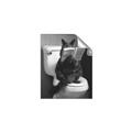 Picture of Kitty Cat Throne Room _GroupedProduct_Rectangle_Portrait_Unframed_Print_Only_