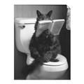 Picture of Kitty Cat Throne Room _GroupedProduct_Rectangle_Portrait_Unframed_Print_Only_