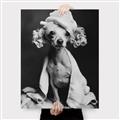 Picture of Spa Day Pooch _GroupedProduct_Rectangle_Portrait_Canvas_