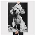Picture of Spa Day Pooch _GroupedProduct_Rectangle_Portrait_Canvas_