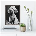 Picture of Spa Day Pooch _GroupedProduct_Rectangle_Portrait_Canvas_Framed_