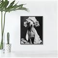 Picture of Spa Day Pooch _GroupedProduct_Rectangle_Portrait_Canvas_Framed_