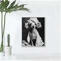 Picture of Spa Day Pooch _GroupedProduct_Rectangle_Portrait_Canvas_Framed_