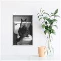 Picture of Kitty Cat Throne Room _GroupedProduct_Rectangle_Portrait_Canvas_Framed_