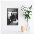 Picture of Kitty Cat Throne Room _GroupedProduct_Rectangle_Portrait_Canvas_Framed_