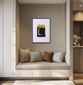 Roomshot
