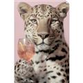 Picture of Blush and Bite I _GroupedProduct_Rectangle_Portrait_Unframed_Print_Only_