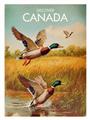 Picture of Canadian Mallard  _GroupedProduct_Rectangle_Portrait_Unframed_Print_Only_