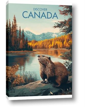 Picture of Canadian Beavers