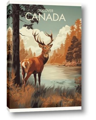 Picture of Canadian Deer